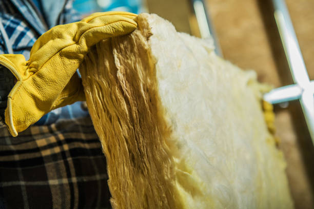Best Geographic-Specific Insulation Services in Heidelberg, TX