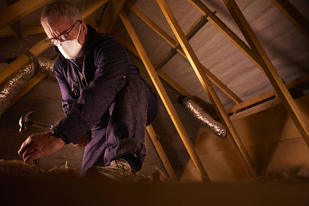 Best Spray Foam Insulation in Heidelberg, TX
