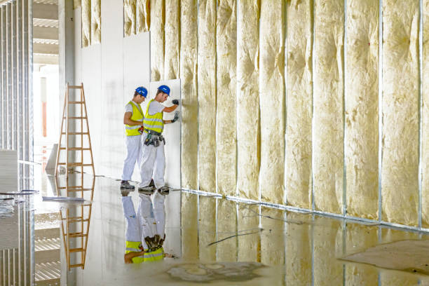 Best Spray Foam Insulation in Heidelberg, TX